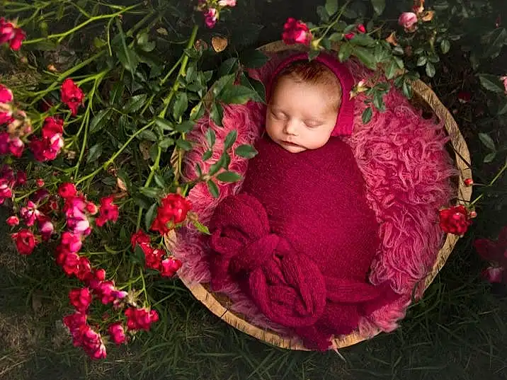 Head, Outerwear, Plant, Flower, People In Nature, Petal, Pink, Headgear, Grass, Woody Plant, Baby, Wood, Magenta, Happy, Tints And Shades, Tree, Flower Arranging, Christmas Ornament, Toddler, Pattern, Person