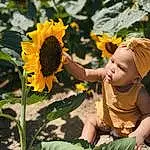 Flower, Plant, Daytime, Leaf, People In Nature, Nature, Botany, Petal, Yellow, Sunlight, Smile, Happy, Grass, Morning, Adaptation, Baby & Toddler Clothing, Summer, Flowering Plant, Field, Person