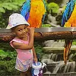 Bird, Photograph, Green, Purple, Blue, Macaw, Botany, Yellow, Parrot, Beak, Happy, Leisure, Adaptation, Hat, Fun, Toddler, Sandal, Person, Joy, Headwear
