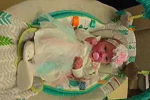 First name baby Aryah