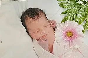 First name baby Xiomara