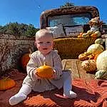 Sky, Pumpkin, Plant, Orange, Winter Squash, Calabaza, Cucurbita, Happy, Gourd, Grass, Fun, Baby & Toddler Clothing, Vegetable, Tree, Toddler, Hat, Sitting, Child, Squash, Leisure, Person