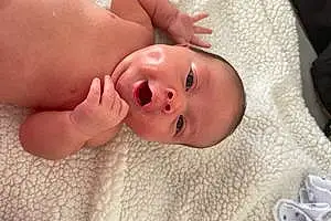 First name baby Alayna