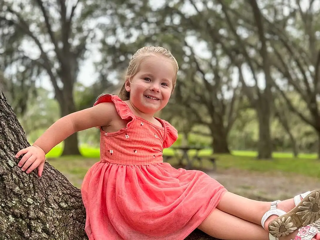 Smile, Plant, People In Nature, Flash Photography, Happy, Tree, Pink, Grass, Leisure, Toddler, Baby & Toddler Clothing, Recreation, Magenta, Fun, Blond, Sitting, Child, Wood, Sky, Spring, Person, Joy