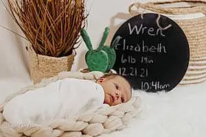 First name baby Wren