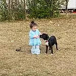 Plant, Dog, Carnivore, Tree, Grass, Toddler, Dog breed, Companion dog, People In Nature, Soil, Leisure, Recreation, Child, Guard Dog, Canidae, Shade, Yard, Person